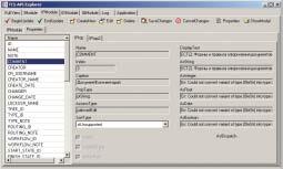 Рис. 15. TCS API Explorer