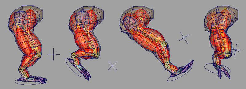 Autodesk Maya 2009 muscule