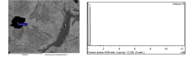 Рис. 7. Включение графита в микроструктуре бочки прокатного валка